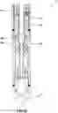 Fig. 13 - Method and system for boosting sealing elements of downhole barriers