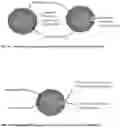 Fig. 06 - Method of Assuring Dissolution of Degradable Tools