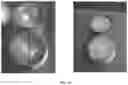 Fig. 09 - Method of Assuring Dissolution of Degradable Tools