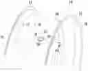 Fig. 01 - REPAIRING OR RESUMING PRODUCTION OF A COMPONENT MADE OF COMPOSITE MATERIAL