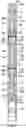 Fig. 06 - PROGRESSING CAVITY DEVICES AND ASSEMBLIES FOR COUPLING MULTIPLE STAGES OF PROGRESSING CAVITY DEVICES