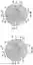 Fig. 18 - PROGRESSING CAVITY DEVICES AND ASSEMBLIES FOR COUPLING MULTIPLE STAGES OF PROGRESSING CAVITY DEVICES