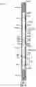 Fig. 25 - PROGRESSING CAVITY DEVICES AND ASSEMBLIES FOR COUPLING MULTIPLE STAGES OF PROGRESSING CAVITY DEVICES