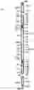 Fig. 26 - PROGRESSING CAVITY DEVICES AND ASSEMBLIES FOR COUPLING MULTIPLE STAGES OF PROGRESSING CAVITY DEVICES