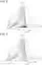 Fig. 07 - Compressor wheel device and supercharger