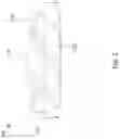 Fig. 03 - Impeller