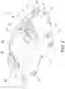 Fig. 03 - Caliper body and brake caliper with said body