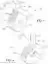 Fig. 03 - Buffered cam assembly