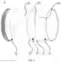 Fig. 03 - Lamp and optical lens thereof