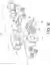 Fig. 32 - Firearm holster
