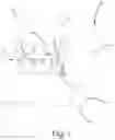 Fig. 07 - Macro alignment reticle sight system