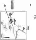 Fig. 08 - Automated human transported weapon with additional linked weapons