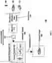 Fig. 09 - Automated human transported weapon with additional linked weapons