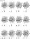Fig. 20 - Method and system for estimating convergence of changes in dimensions of molded article over time