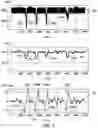 Fig. 04 - Detection of coupling slippage in rotary encoder systems