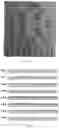 Fig. 02 - MINIATURE GRAPHENE AEROGEL DEVICE AND PREPARATION METHOD THEREOF