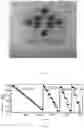 Fig. 03 - MINIATURE GRAPHENE AEROGEL DEVICE AND PREPARATION METHOD THEREOF