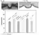 Fig. 11 - SCALABLE AND HIGH-PERFORMANCE PRESSURE SENSORS FOR WEARABLE ELECTRONICS