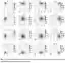 Fig. 18 - SCALABLE AND HIGH-PERFORMANCE PRESSURE SENSORS FOR WEARABLE ELECTRONICS