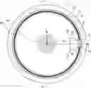 Fig. 01 - Force sensor