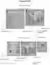 Fig. 21 - Method for processing tissue samples
