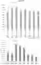 Fig. 26 - Method for processing tissue samples