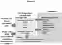 Fig. 32 - Method for processing tissue samples