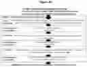 Fig. 46 - Method for processing tissue samples