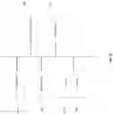 Fig. 09 - Method for detection and interpretation of results indicated on a photographed diagnostic test
