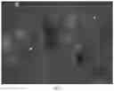Fig. 09 - Intelligent quantitative microscopic identification system and intelligent identification method for whole rock polished sections
