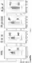 Fig. 02 - COMPOSITIONS AND METHODS FOR ENHANCING MUCOSAL IMMUNITY