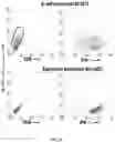 Fig. 04 - COMPOSITIONS AND METHODS FOR ENHANCING MUCOSAL IMMUNITY