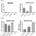 Fig. 06 - COMPOSITIONS AND METHODS FOR ENHANCING MUCOSAL IMMUNITY