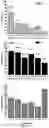 Fig. 09 - COMPOSITIONS AND METHODS FOR ENHANCING MUCOSAL IMMUNITY