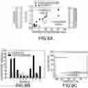 Fig. 09 - Magnetic separation of biological entities from fluid sample