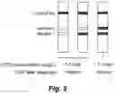 Fig. 03 - Semi-quantitative lateral-flow immunoassay for the detection of CSF leaks