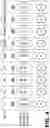 Fig. 04 - IMMUNOCHROMATOGRAPHY STRIP FOR PREGNANCY DIAGNOSIS WITH MULTIPLE TEST LINES, AND PREGNANCY DIAGNOSIS KIT COMPRISING SAME