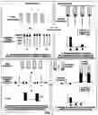 Fig. 02 - Methods for detecting peptide/MHC/TCR binding