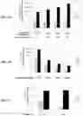 Fig. 06 - Methods for detecting peptide/MHC/TCR binding