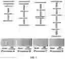 Fig. 04 - Method for lateral flow immunoassay