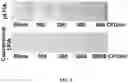 Fig. 06 - Method for lateral flow immunoassay