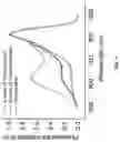 Fig. 08 - RENAL CLEARABLE NANOPARTICLES AS EXOGENOUS MARKERS FOR EVALUATING KIDNEY FUNCTION