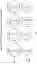 Fig. 07 - Method for detection and quantification of CLN3 protein