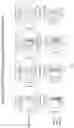 Fig. 09 - Method for detection and quantification of CLN3 protein