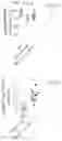 Fig. 02 - Biomarkers for CNS Disease Modification