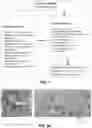 Fig. 02 - METHODS, COMPOSITIONS AND KITS FOR THE ASSESSMENT OF MILD COGNITIVE IMPAIRMENT