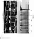Fig. 04 - 3D multipurpose scanning microscopy probes