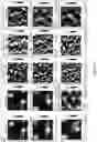 Fig. 40 - 3D multipurpose scanning microscopy probes
