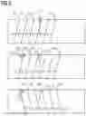 Fig. 06 - Method for the -destructive detecting of ageing symptoms of a component having regularly recurring structures