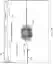 Fig. 12 - Evaluation and visualization of well log data in selected three-dimensional volume